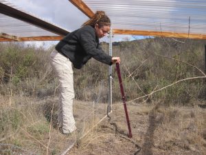 Woman measuring soil moisture in plot