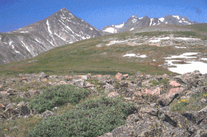 The Saddle, Niwot Ridge, Front Range of the Colorado Rocky Montains