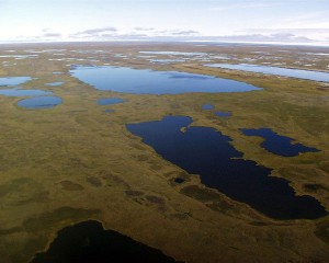 Aerial view of Arctic Coastal Plain near Barrow, AK