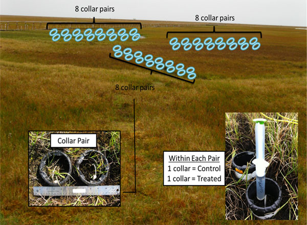 Methane suppression by iron and humic acids in soils of the Arctic Coastal Plain