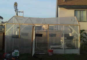Musical Greenhouse, near completion