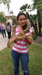 Woman holding a boa constrictor